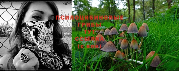 мдпв Покачи