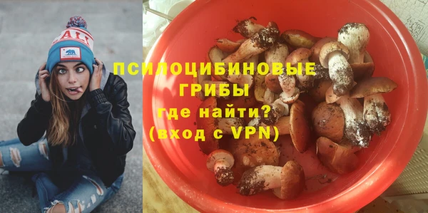 мдпв Покачи