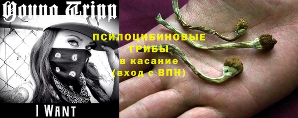 мдпв Покачи
