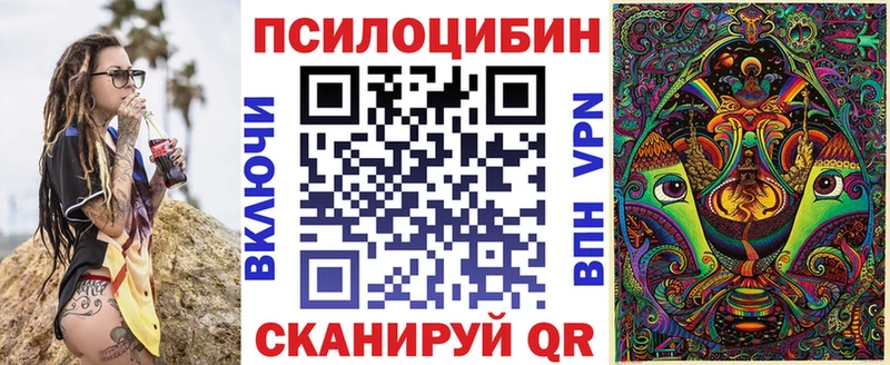 закладки  Белёв  Псилоцибиновые грибы Psilocybe 